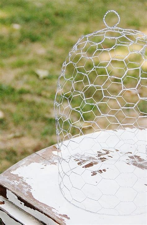 Chicken Wire Cloche You Can Diy For 104 Thistlewood Farm Chicken