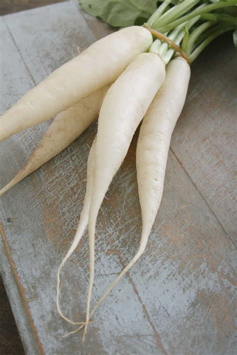 What Is Daikon Radish How Do I Eat It Noshing With The Nolands