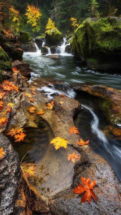 Fond Décran Paysage Forêt Feuilles Cascade Eau Roche La Nature