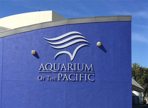 Aquarium Of The Pacific In Long Beach California Reef Builders The