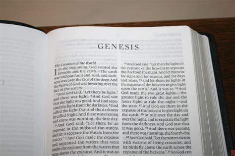 Crossway Large Print Thinline Bible Review 15 Bible Buying Guide