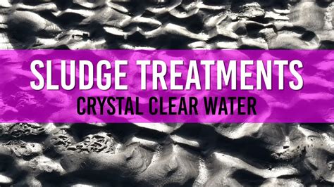 Top Pond Sludge Treatments Find The Best Solution For A Crystal Clear Pond