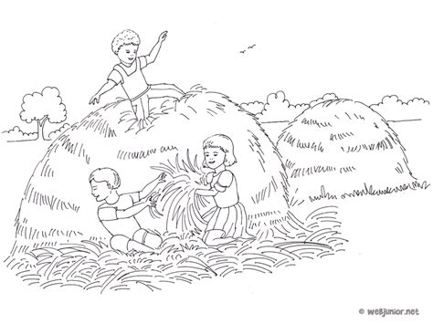 A la ferme  jeux dans le foin  coloriage Occasions gratuit sur Webjunior