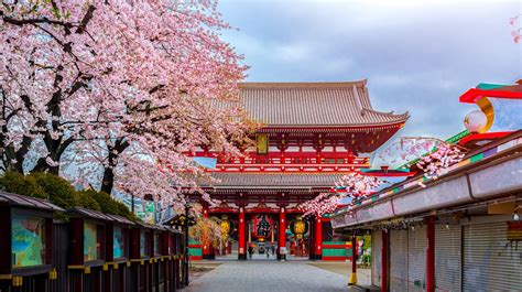 Check out an event or a game at. The 10 Best Hotels in Asakusa, Tokyo