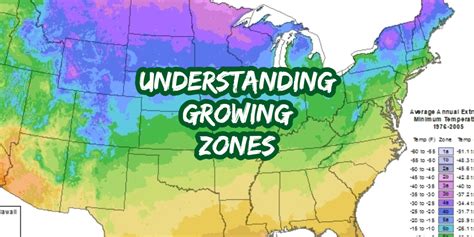 How To Understand Growing Zones Hardiness Maps To Plant Smart