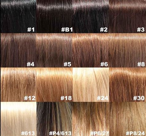 Light Brown Hair Color Chart Best Dark Blonde Hair Color Home Check