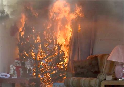 Christmas Tree Safety Keep Your Holidays From Going Up In Flames The