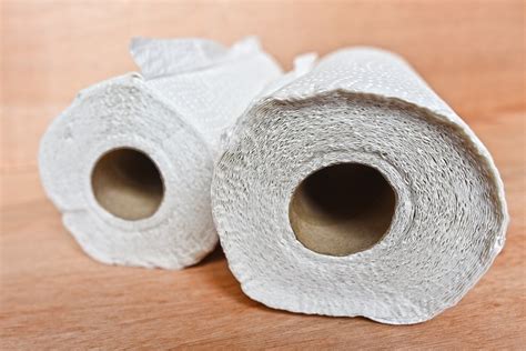 Can I Compost Paper Towels Compost Guide