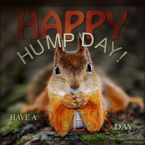 Happy Hump Day Have A Blessed Day Pictures Photos And Images For