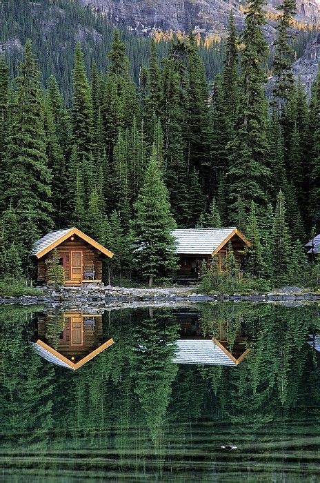 Huts In The Forest Yoho National Park The Rockies Alberta Canada