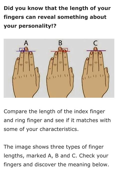 Does Your Finger Length Represent Your Personality Musely
