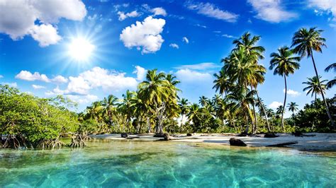 Beautiful Scenery Tropics Beach Palm Trees Sea Sunlight Wallpaper