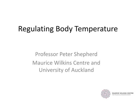 Ppt Regulating Body Temperature Powerpoint Presentation Free