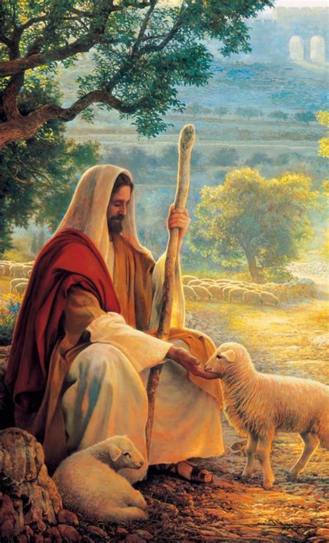 Jesus Feeding His Sheep Christ Jesus Jesus Christ Art