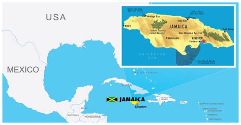 LTN Logistic International - Jamaica - Project Cargo Weekly