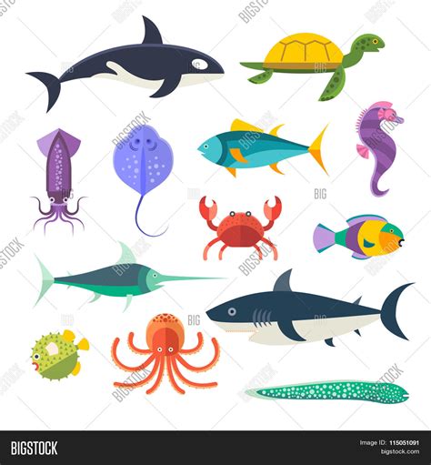 Vector Set Of Sea Marine Fish And Animals Shark Squid Octopus