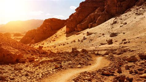 Red Scenery Of Timna Park In Israel Stock Photo Image Of Copper