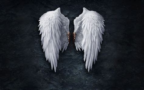 Angel Wings Background 49 Images