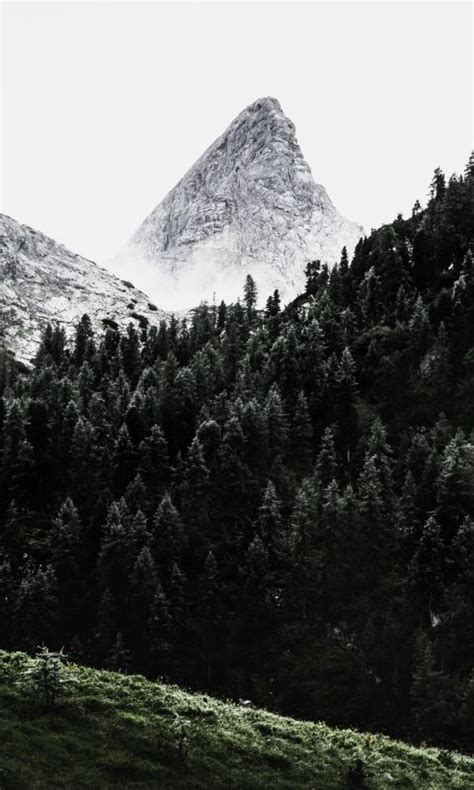 Green Pine Trees Across White Mountain Wallpaper 720x1280