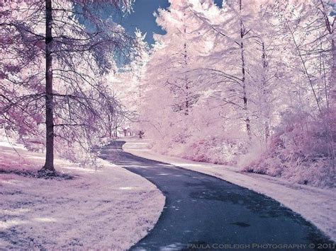 Infrared Photography Paula Cobleigh With Images Beautiful Winter Scenes