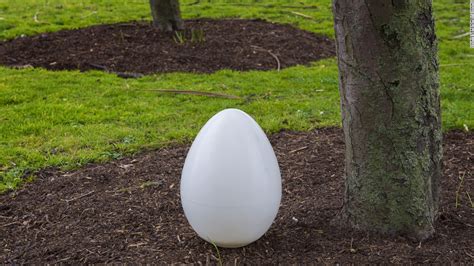 Biodegradable Burial Pod Turns Your Body Into A Tree Cnn