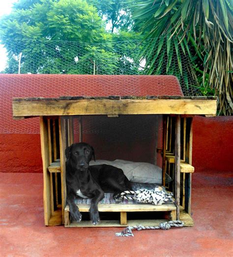 Apartamentos con piscina benidorm, apartamento planta baja a 50 m de la playa con piscina tarragona. Casa de perro | Casas para perros grandes