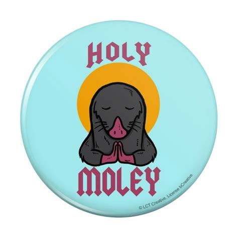 Graphics And More Holy Moley Religious Mole Funny Humor Pinback
