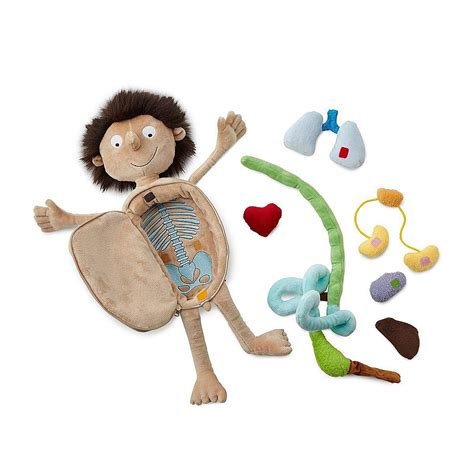 Little Patient Doctor Doll Stem Anatomical Toys Toys For Boys