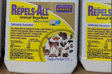 6 Best Chipmunk Repellents In 2023 Detailed Reviews