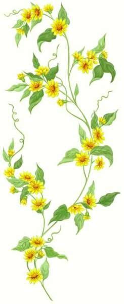 If you're looking for flower baby names for boys and girls, we've got a list of the cutest ones, plus the meanings behind them. Totally 'N to Tatouage | Vine drawing, Jasmine tattoo ...