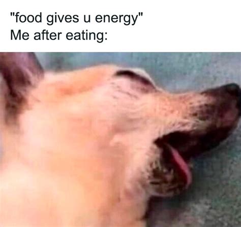 50 Funny Memes That Are All Too Relatable Shared By This Instagram