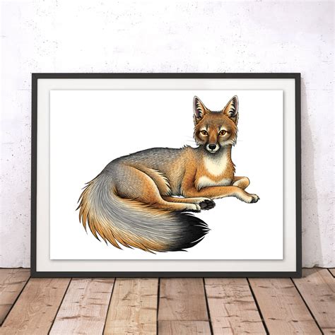 Swift Fox Art Print Swift Fox Wall Art Brown Fox Print By