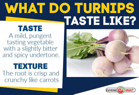 What Do Turnips Taste Like A Complete Guide