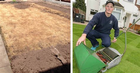 Man Spends 273 Hours Bringing Lawn Back To Life Using Antique Mower