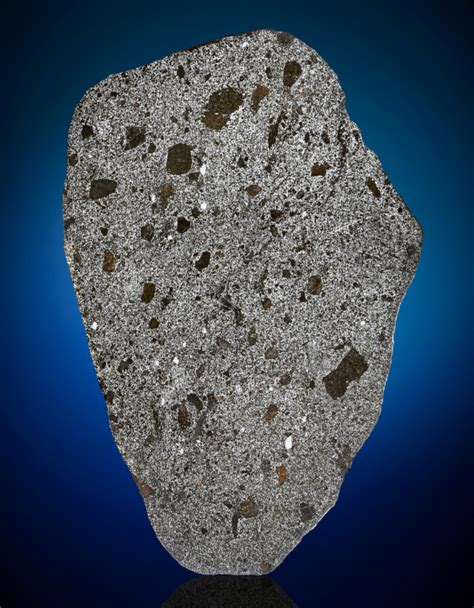 Large Format Mesosiderite Complete Slice — Nwa 15346 — Katalog Deep