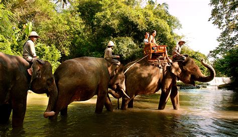 Bali Zoo Park - TICMPU