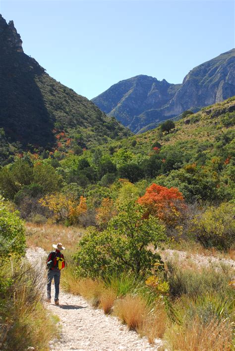 Texas Mountain Trail Daily Photo Make Plans Now To Visit Guadalupe