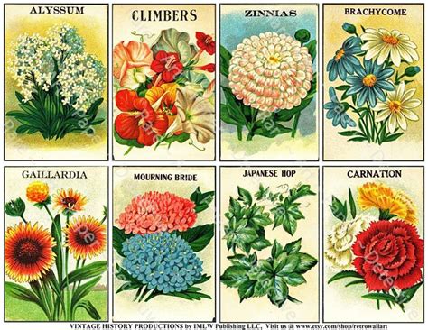 How to start a flower garden from seeds. Antique Flower Seed Packets, Printed Sheet, Vintage Seed ...