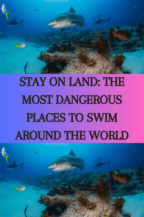 Stay On Land The Most Dangerous Places To Swim Around The World In