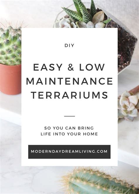 Bring Immediate Life Into Your Home With Low Maintenance ...