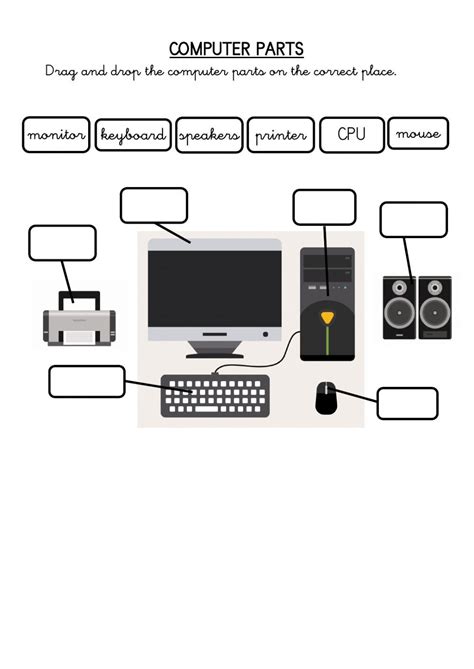 Computer Parts Interactive Activity For 1st Computer Lessons