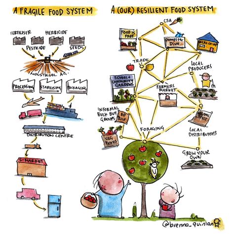 What Is A Food System Rogue Valley Food System Network