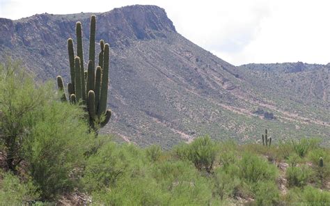 Dreamstime is the world`s largest stock photography community. arizona backgrounds | Widescreen, background, desktops ...
