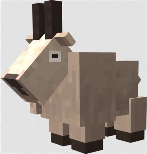 During minecraft live, players voted for a new mob: Minecraft Goat - New Mob in 1.17 Update - GamePlayerr