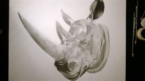 Pencil Drawing Of A Chrome Rhino Head Rhino Digital Artwork Pencil