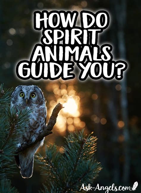 How To Find Out Your Animal Spirit Guides Ask