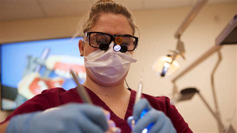 Dental Hygiene - Associate of Applied Science Degree | Virginia