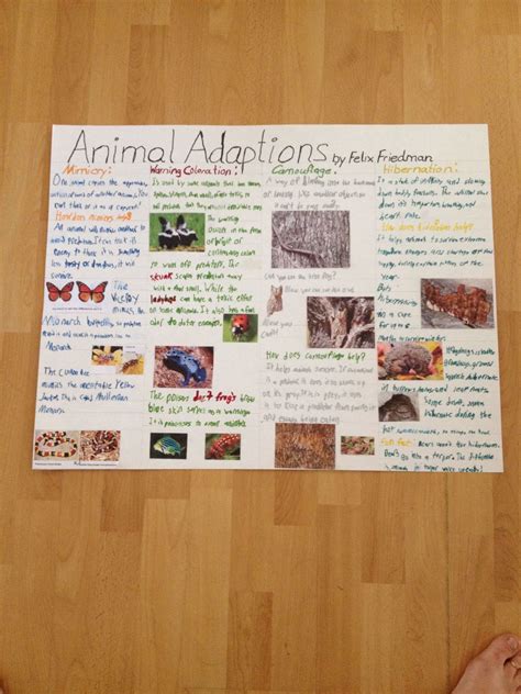 4th Grade Animal Adaptation Poster Misspelled Adaptation Saw That