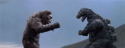 Share a gif and browse these related gif searches. Godzilla vs king kong gif 5 » GIF Images Download