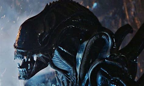 James Cameron Is Working On Reviving Alien Franchise